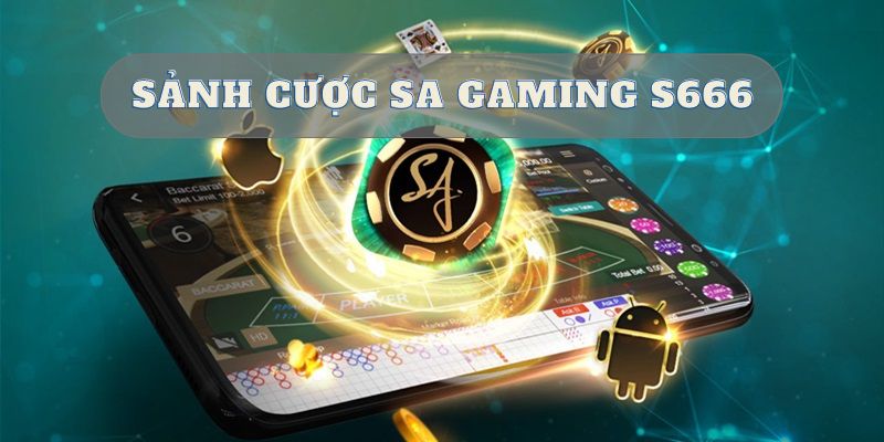 Khi chơi live casino người mới thường bỏ qua lịch sử ván trước